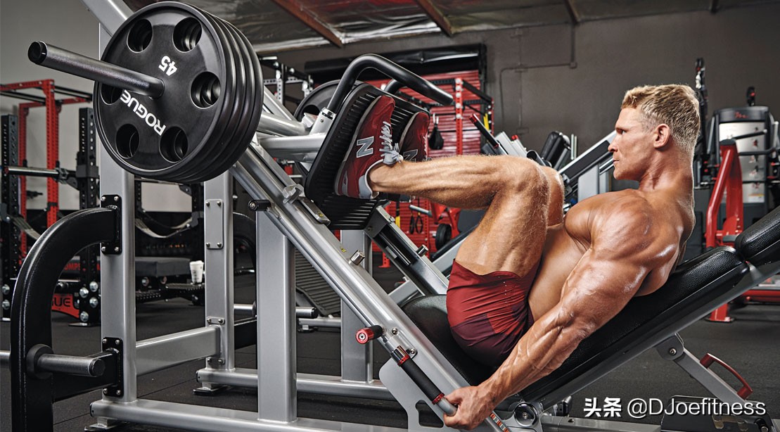 腿弯举训练器怎么使用,腿举机练哪个部位