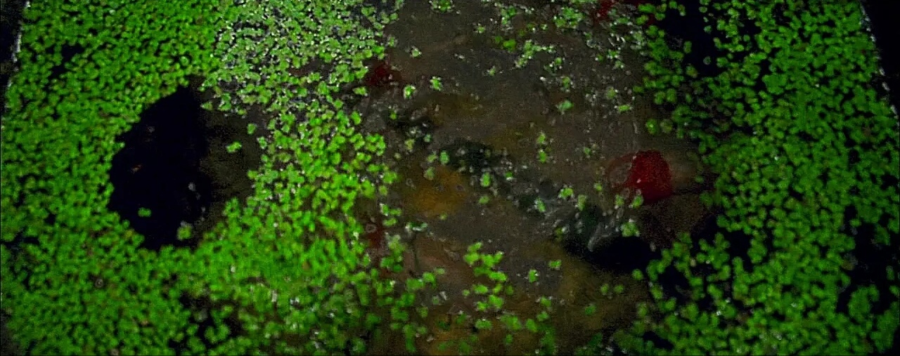 电影夜宴视频,电影夜宴深度解析