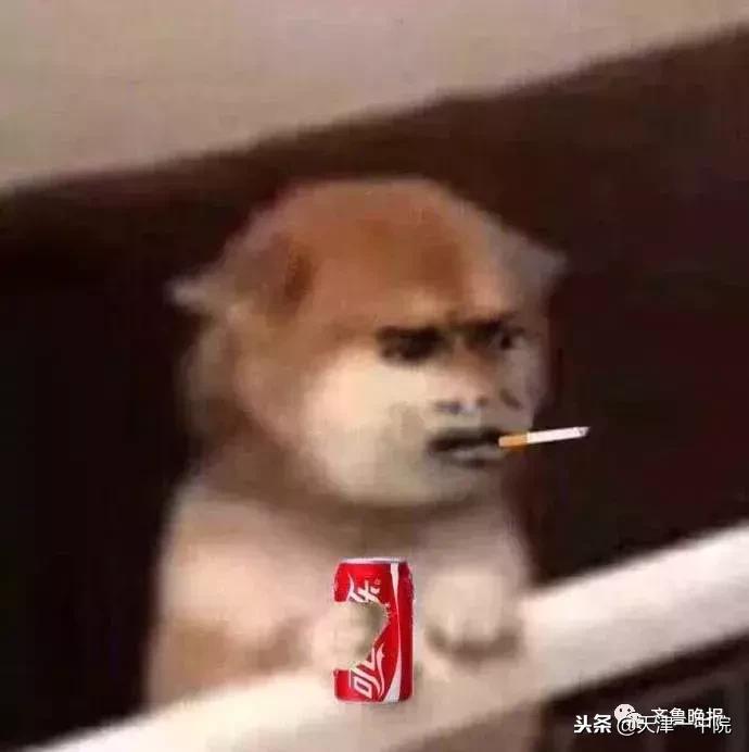 进口代购逃税淘宝店主获刑10年,代购逃税重罚规定