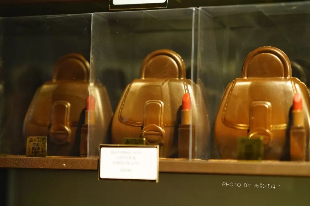 去哪里旅游可以看南极企鹅,旅游攻略南极看企鹅