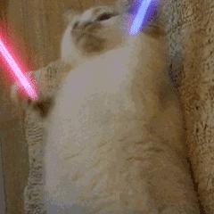 一只灵魂画手遇到猫,分享一组灵魂画手的作品