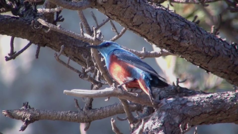 从世界地图看湖南,世界看湖南