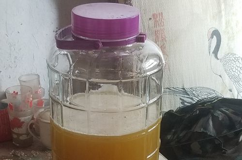 养蜂场采摘蜂蜜技巧视频,纯正蜂蜜割蜜视频教程