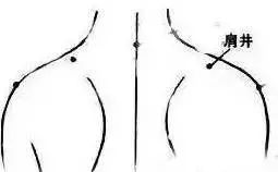 送给中老年朋友的拍打穴位操,人体穴位拍打操30分钟健身操视频