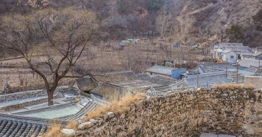 生僻字火到韩国和日本,生僻字外国人唱的完整版