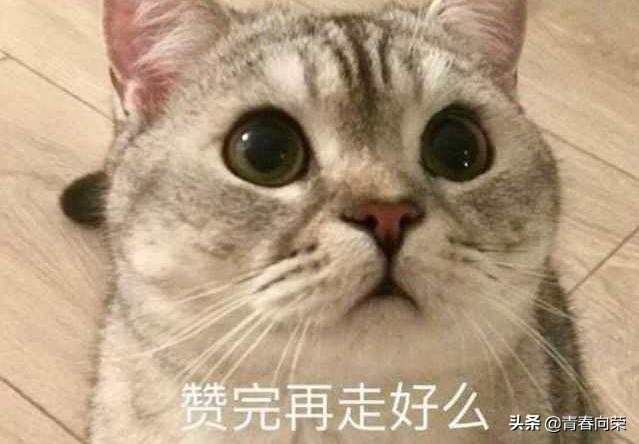 电脑椅怎么选比较好,怎么选便宜又好的电脑椅