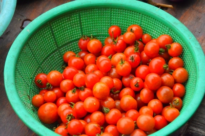 贵州兴义万峰林初夏风光美如画,贵州兴义的万峰林景区