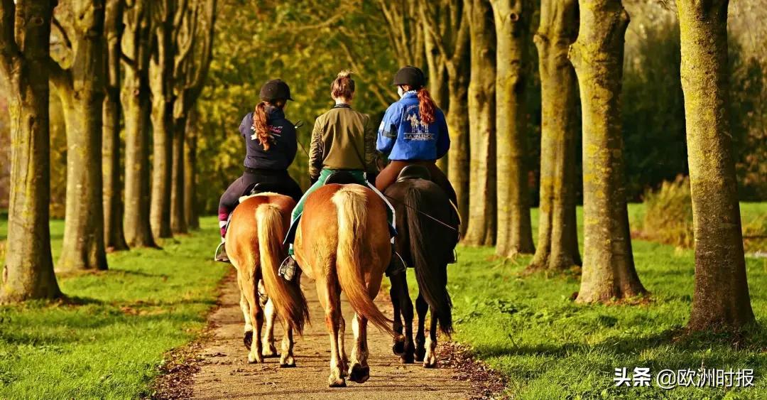 欧洲童话城堡多少钱,法国买一个城堡多少钱
