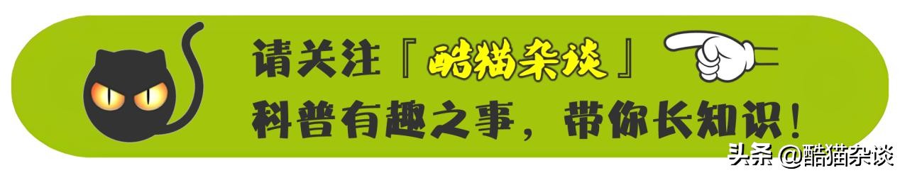 人脑左脑右脑功能,意识产生于大脑哪个部位
