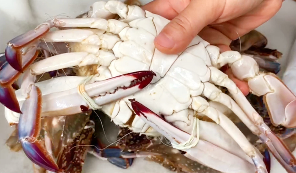 蒸螃蟹的做法用冷水或热水,蒸螃蟹冷水下锅还是热水下