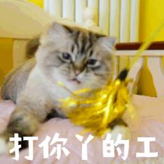 南通打工人住的房子,南通工厂打工的真实生活