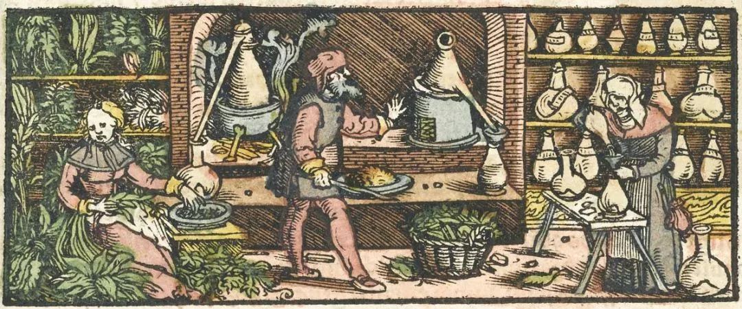 精油真的能治病吗,精油的功效与作用有减肥效果没有