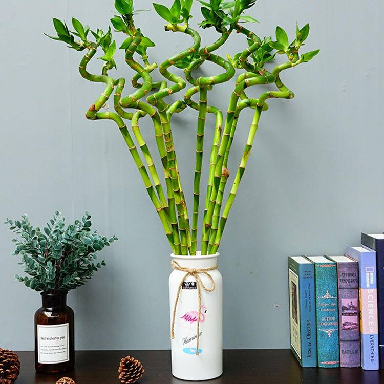 空调房“补水”计划，既要温度又要湿度，做好3点保湿效果杠杠的