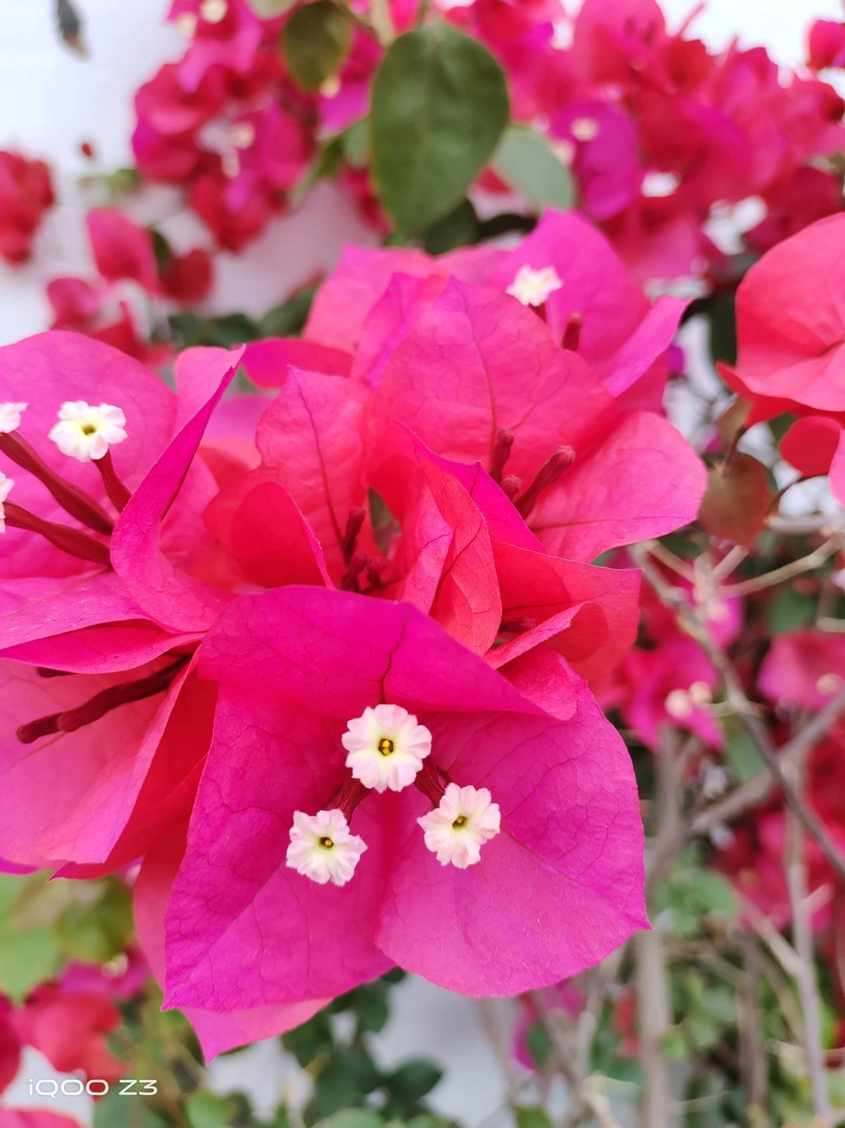 iqooz3性能强悍,iqooz3深度评测