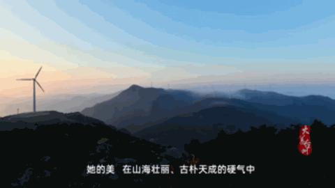 被浙江私藏的小城有多美,宁波最隐藏的海岛