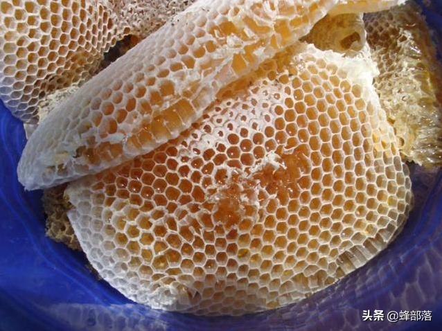 合成蜂蜜骗局,养蜂人如何将蜂蜜造假