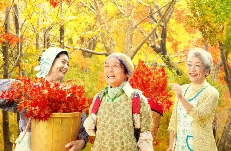 我们调侃“你是什么垃圾”时，日本这个小镇已经零垃圾生活15年了