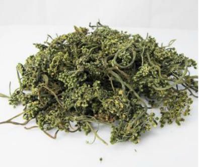 三七花的区别图,三七花怎么分辨真假