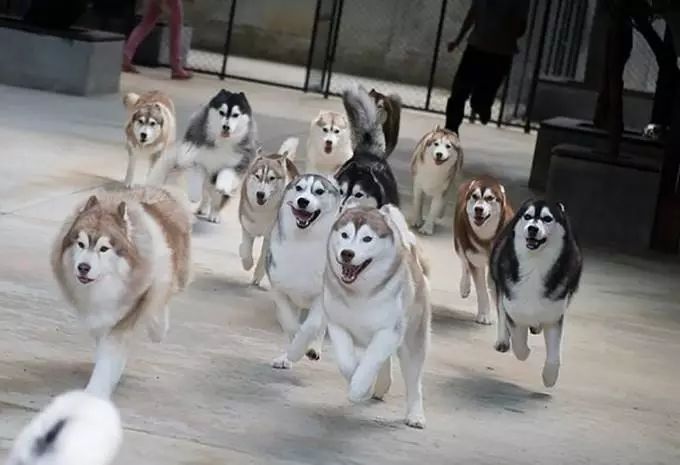 曼谷免税店攻略之自由行,曼谷免税店必买清单