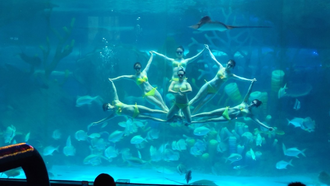 福州欧乐堡海洋世界家庭套票团购,福州欧乐堡海洋世界门票价格