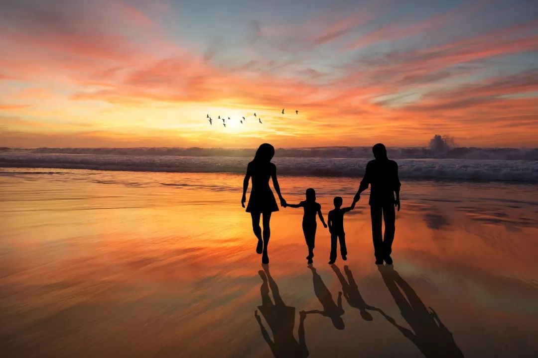 东莞教育机构品牌策划全案,东莞虎门金色摇篮幼儿园