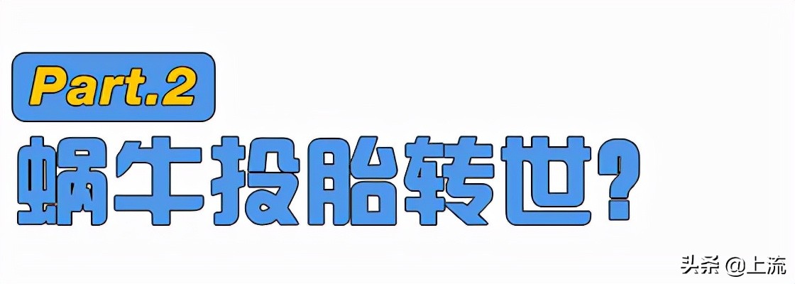 看了一次新西兰式硬核搬家，租房青年悟了