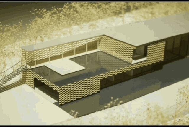 百亿收藏家,戴志康非法集资名单