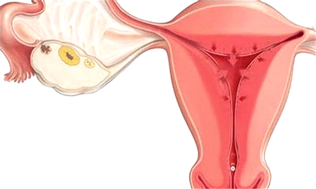 疾病认知误区包括哪些,疾病认知的重要性