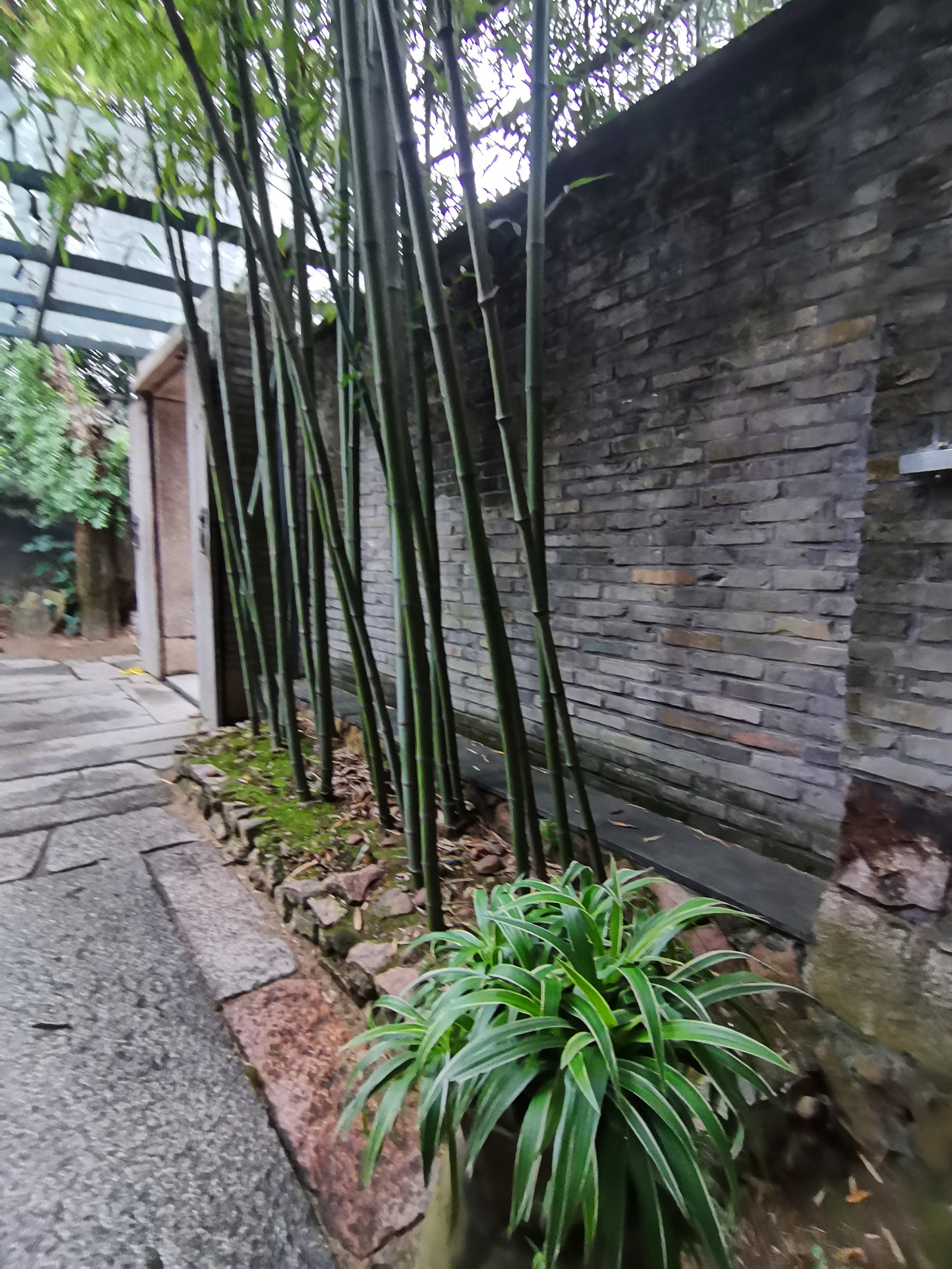 福州华侨新村怎么走,福州华侨新村美食