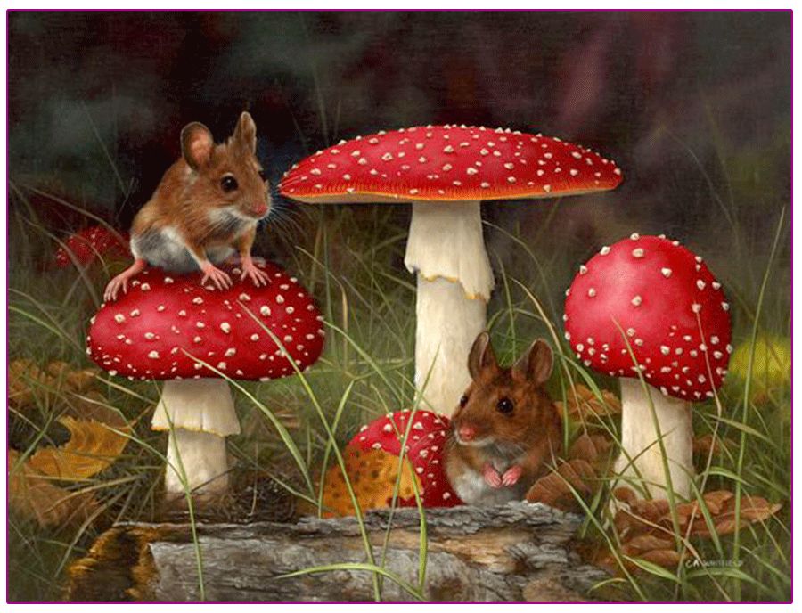 奇幻森林的儿童绘画作品,怎么画森林精灵儿童画