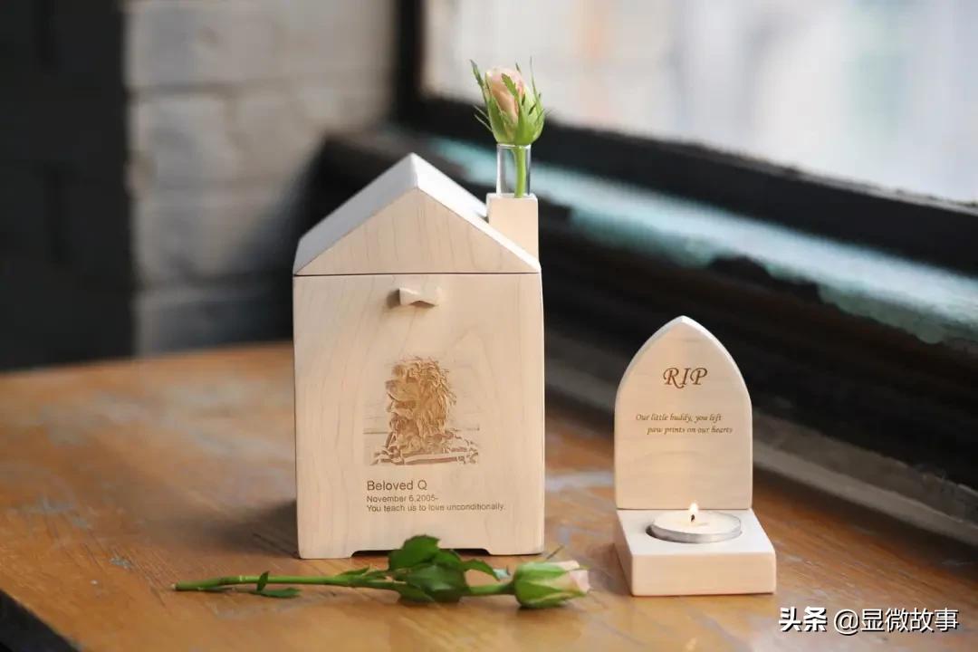 揭秘宠物殡葬:我设计了6487个骨灰盒,只为了帮它体面离开