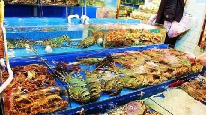 惠州融创海景公寓,惠州融创海湾半岛度假公寓订房