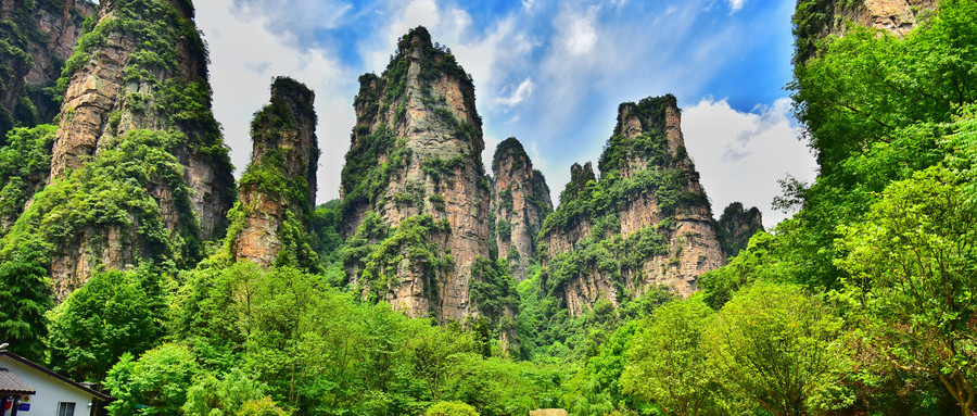 军官证去景区会留记录吗,军官证免票会查真假吗