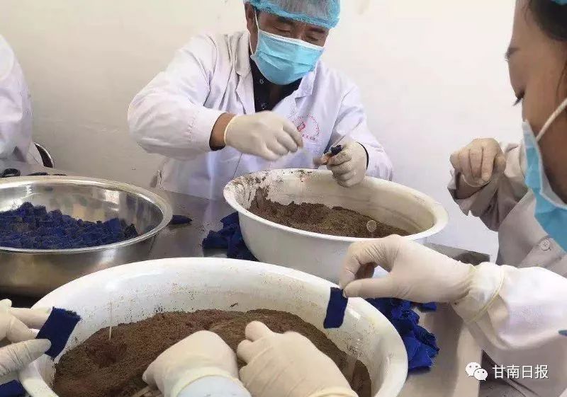 甘肃夏河藏医,夏河藏医