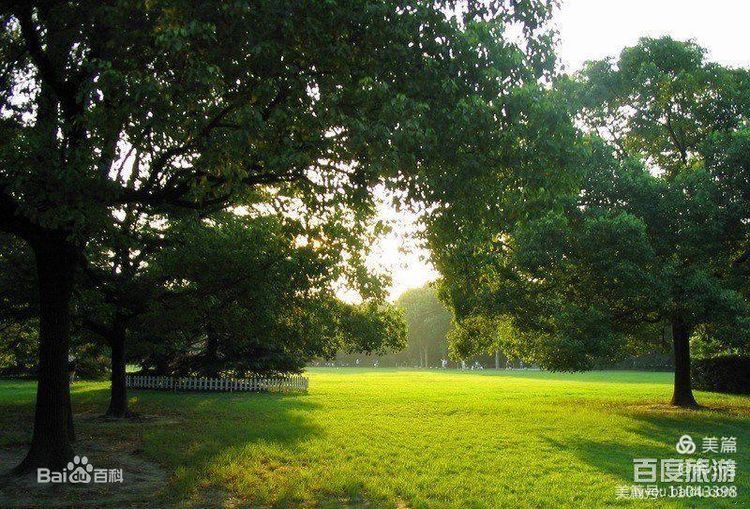 上海中山公园公寓,上海中山公园游玩攻略