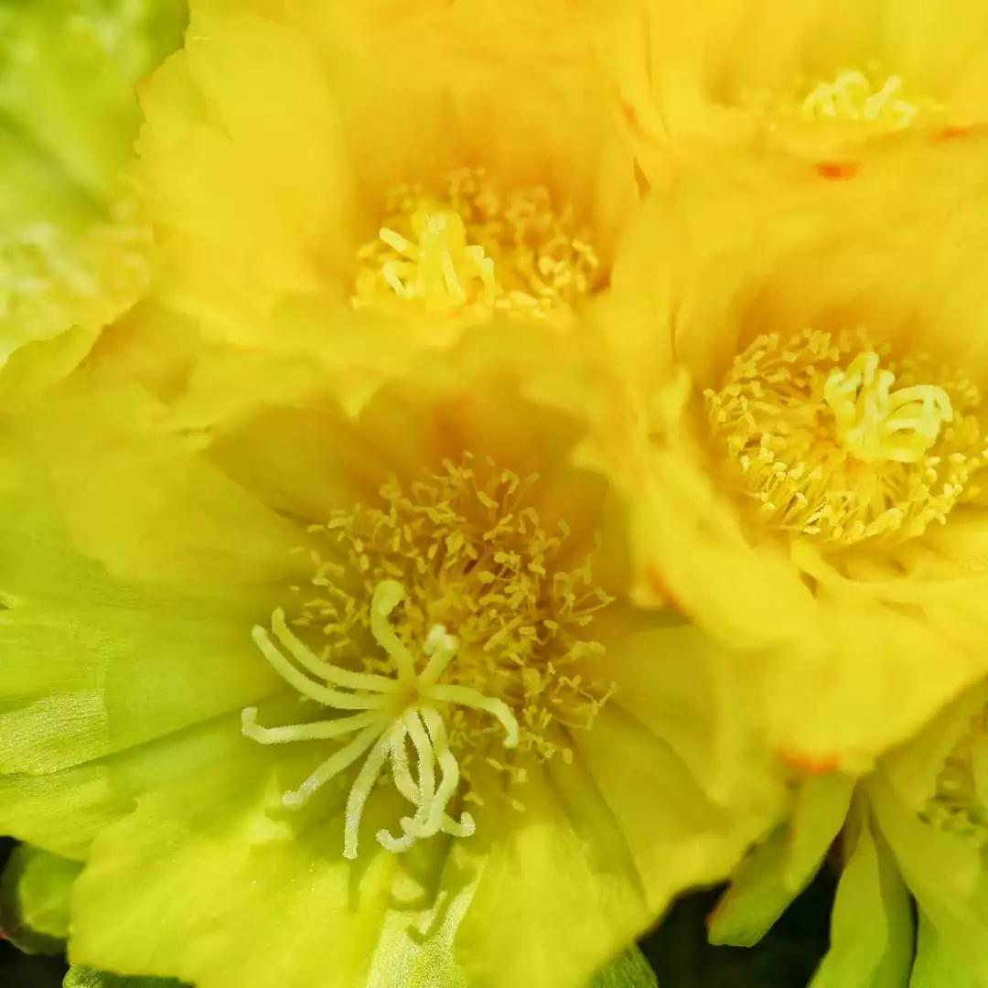 极富哲理的八首经典唐诗赏析合集,唐诗中最有哲理的十首诗