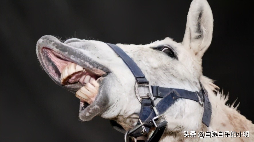 巴西足球给巴西带来了什么,巴西除了足球的历史还有什么历史