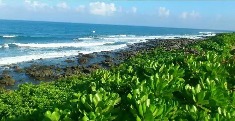 国际乡村旅游经验,台湾乡村旅游有什么值得借鉴的