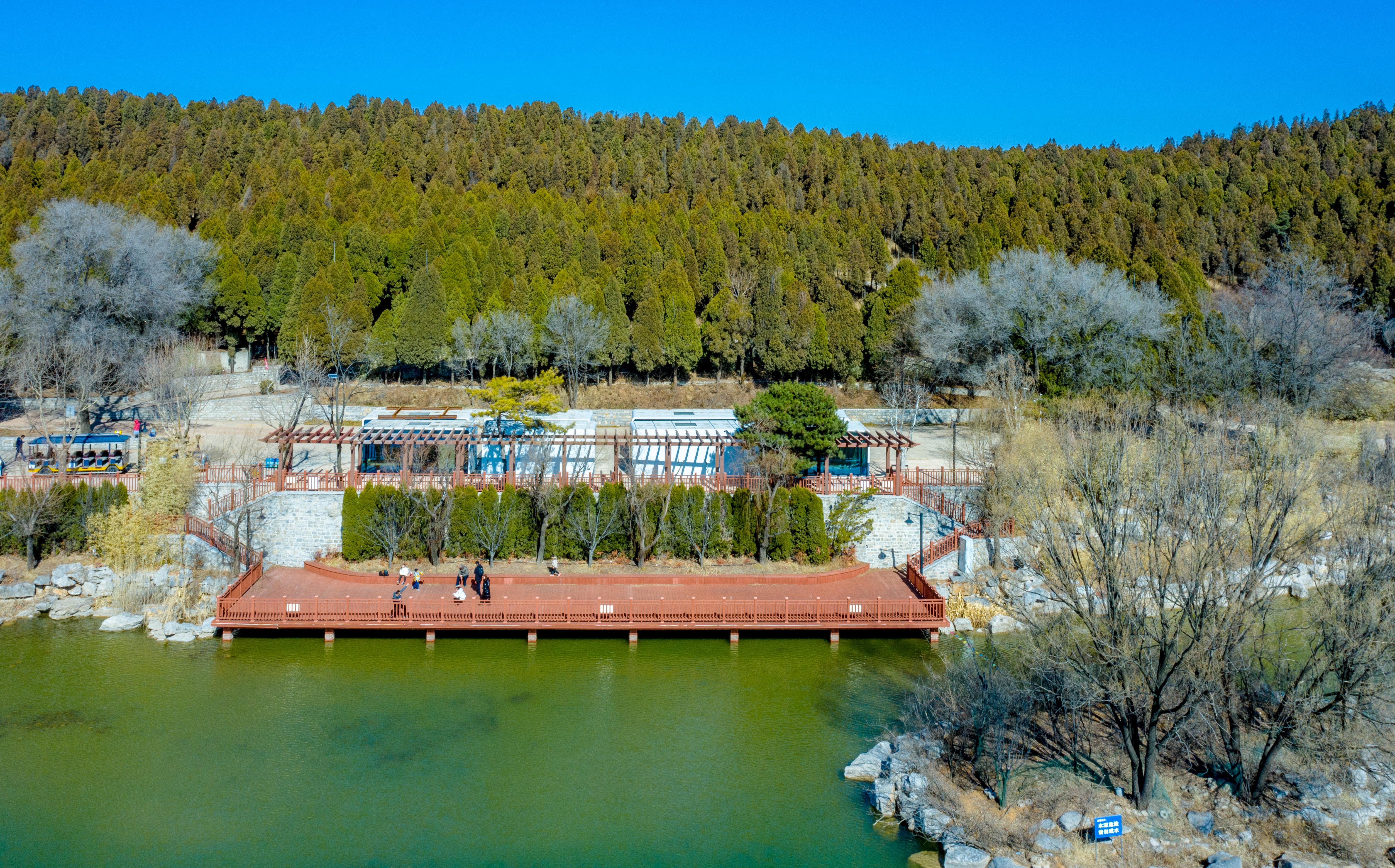济南跑马岭森林部落研学,济南夏令营森林部落探险