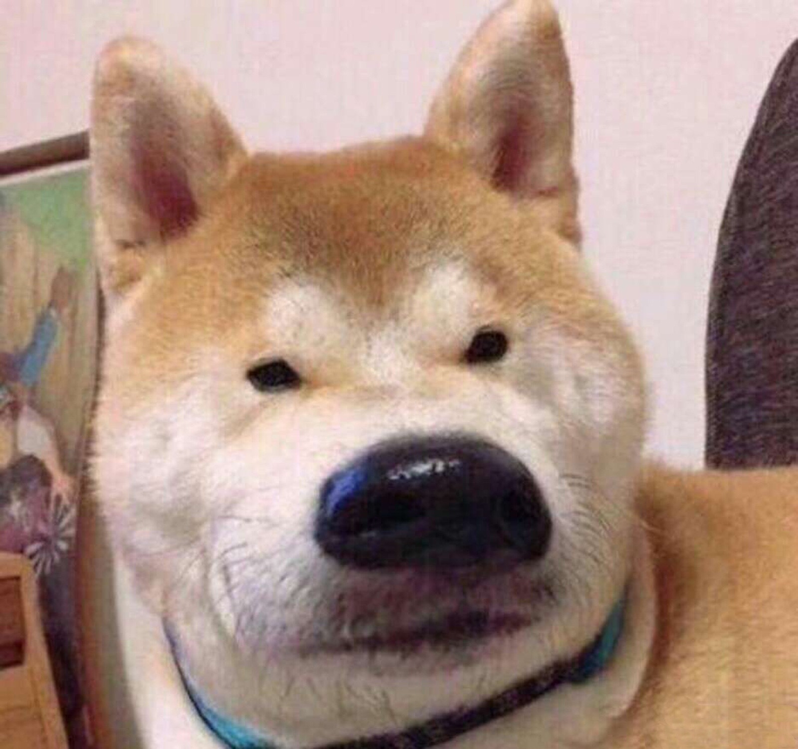 你孤独吗完整版,你孤独吗合集