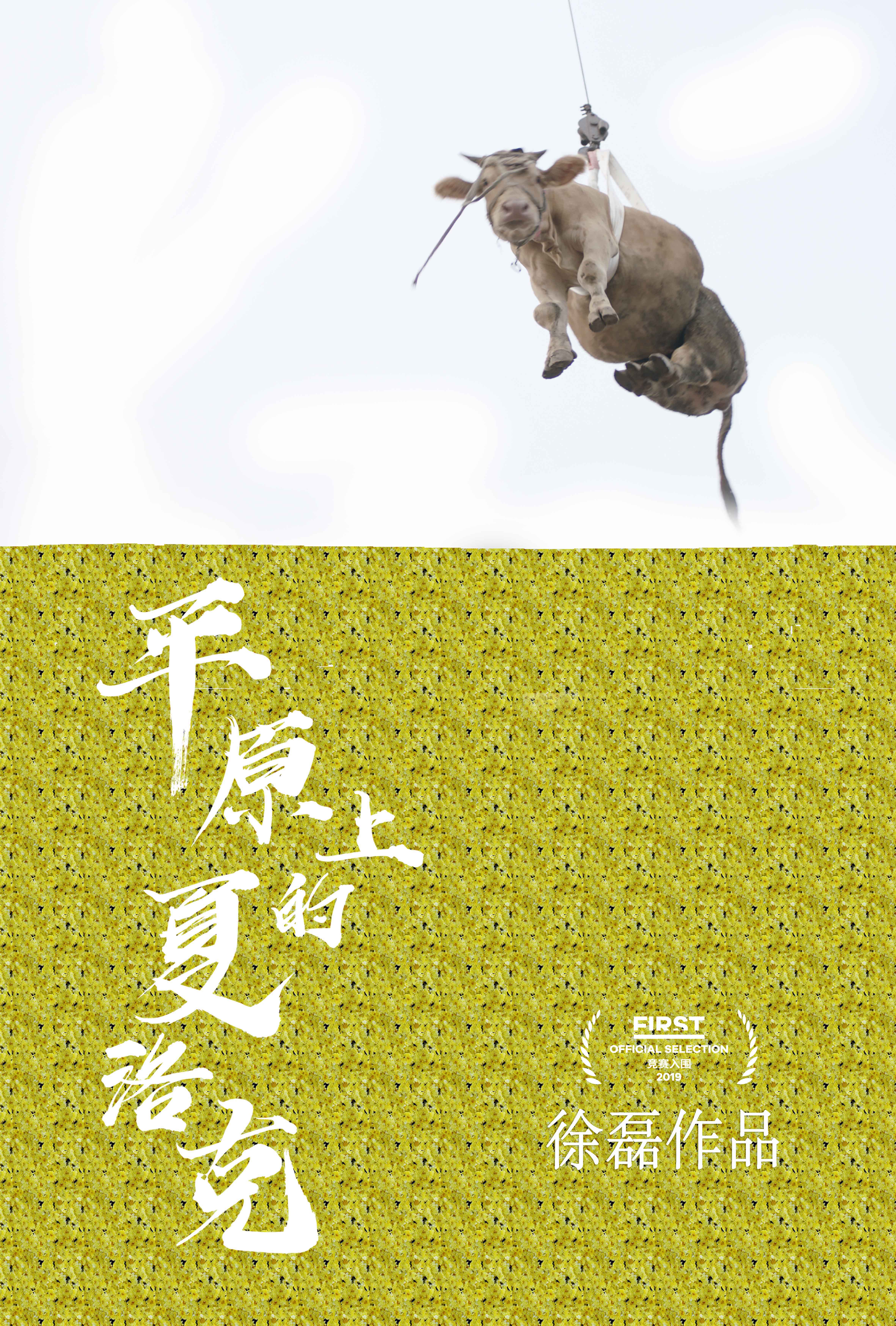 第十七届first青年电影展红毯,第14届first青年电影展颁奖现场