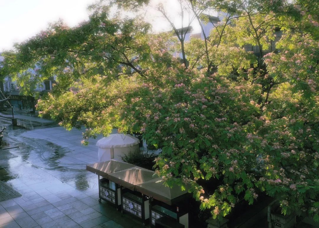 去了那么多次你真的了解南京吗,去了很多地方就会有阅历吗