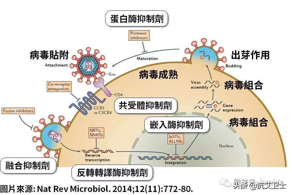 hiv耐药毒株,hiv耐药性国内研究现状
