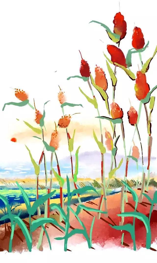 高粱全世界都有吗,高粱为何如今在中国很少见了