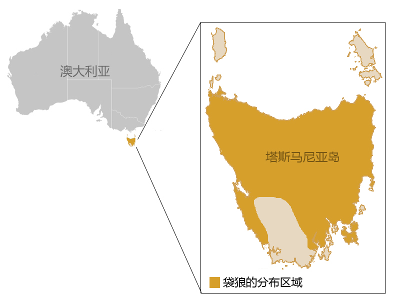 猫狗祖先的进化史,猫狗在现今社会的地位