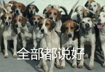 沙巴仙境一日游,沙巴室内一日游