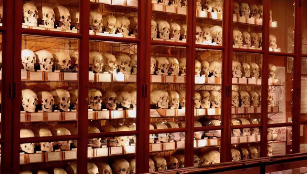 爱因斯坦的大脑解剖全过程,爱因斯坦的大脑为科学奉献一生