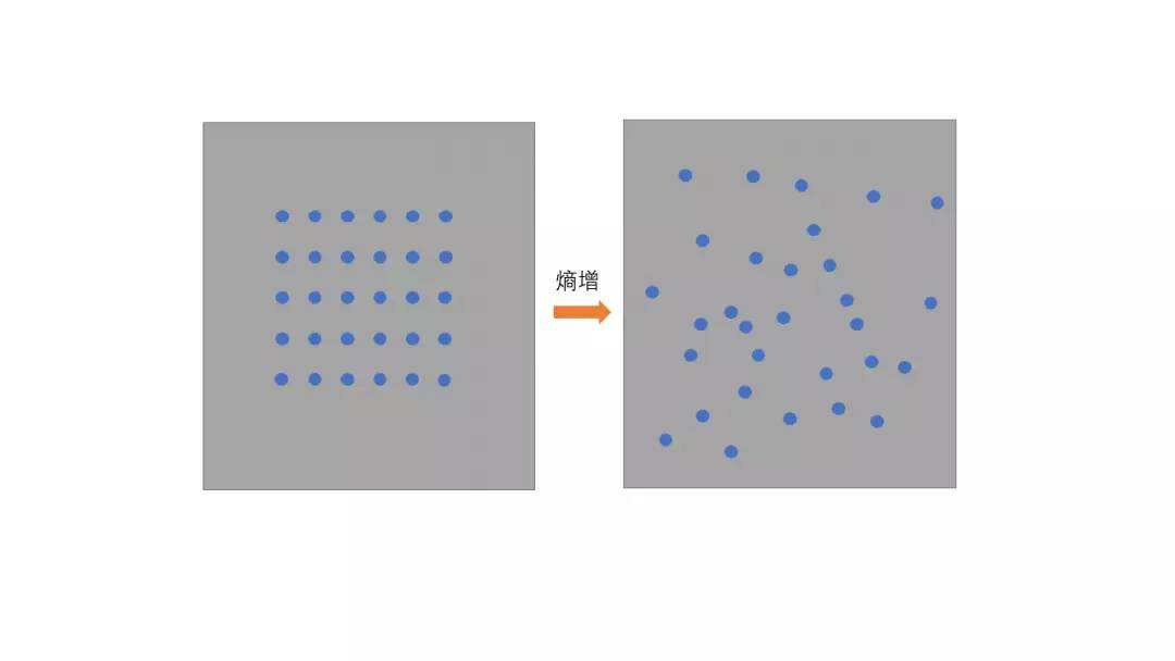 犯了“松鼠病”老爱囤东西?培养熵减思维,寻找生活秩序