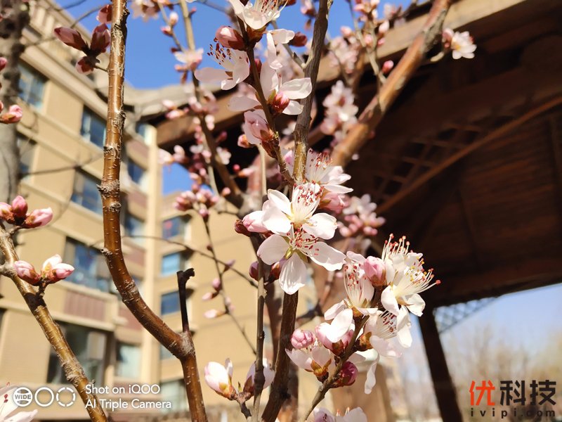 iqoo手机性能发挥到极致,最值得买的全新iqoo手机