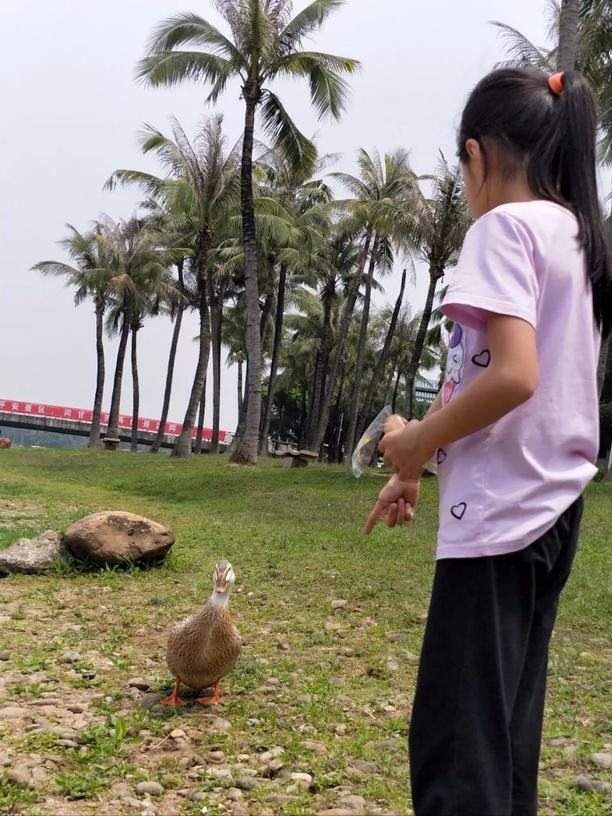深圳海上田园一日游,深圳宝安海上田园风景
